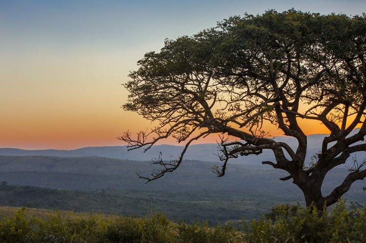 Hluhluwe-Imfolozi National Park, Zuid-Afrika